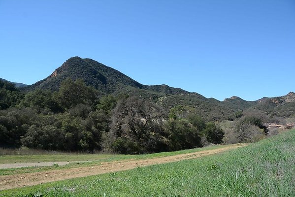 DSC 6255