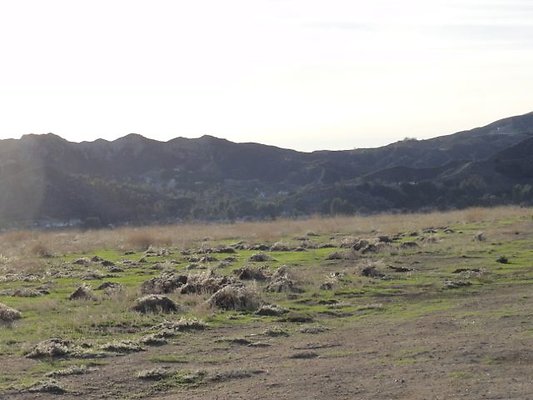 DSC01122