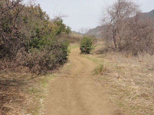 DSC01051