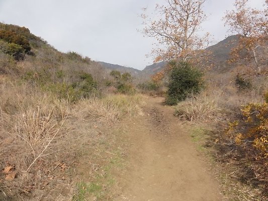 DSC01058