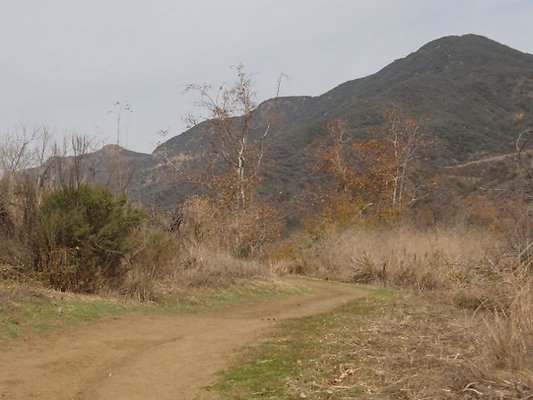 DSC01053