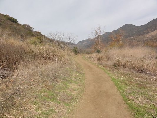 DSC01055