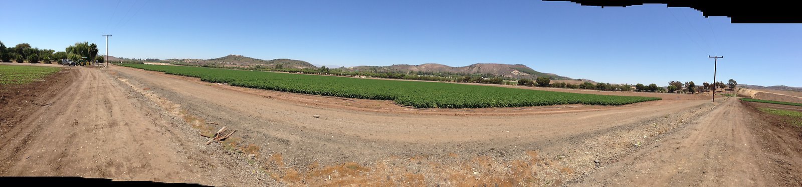 Underwood.Farms.Parsley.Road.North.Pan