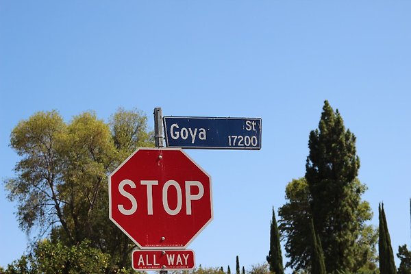 40.Neighborhood.Goya-Titian.GranadaHills