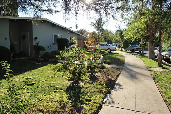 21.19409.Lull.St.Reseda