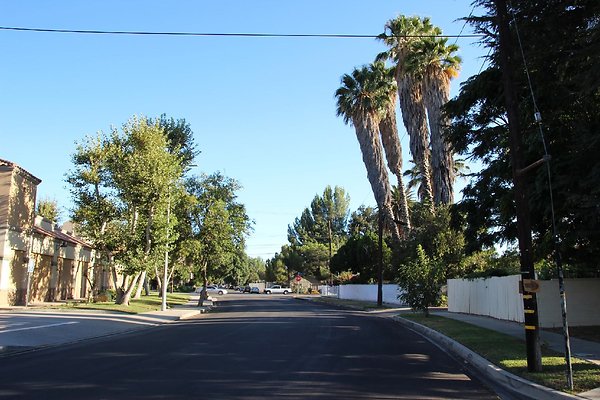 20.19409.Lull.St.Reseda