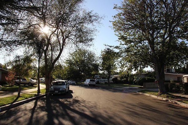 16.19409.Lull.St.Reseda