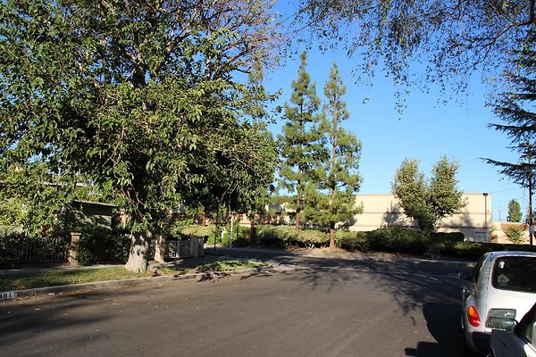 12.19409.Lull.St.Reseda