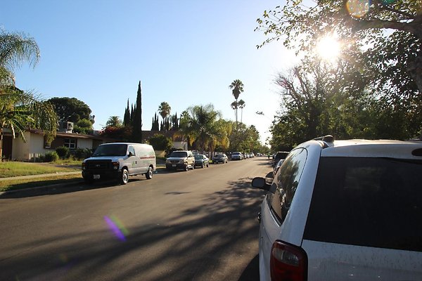 36.19409.Lull.St.Reseda