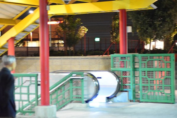 DSC 5906