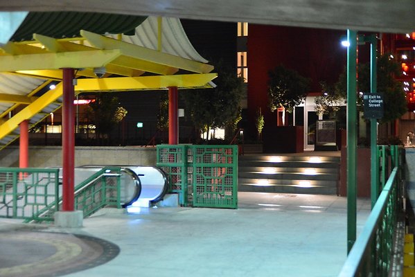 DSC 5905