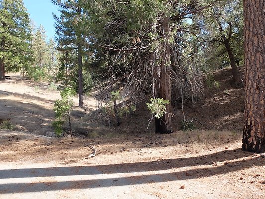 Charlton.Flats.USFS.113