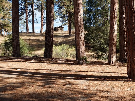 Charlton.Flats.USFS.79