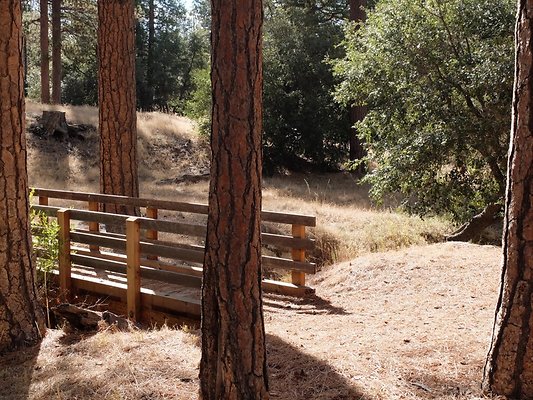 Charlton.Flats.USFS.88