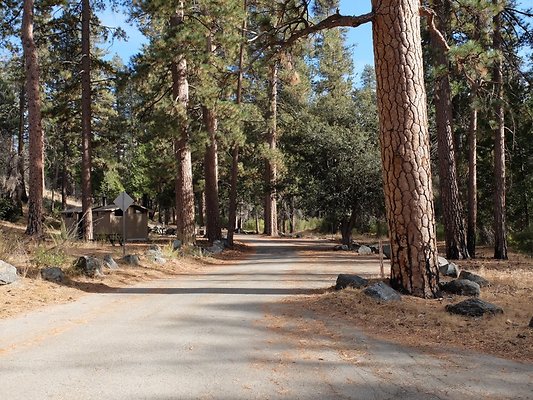 Charlton.Flats.USFS.192