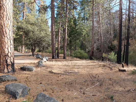 Charlton.Flats.USFS.200