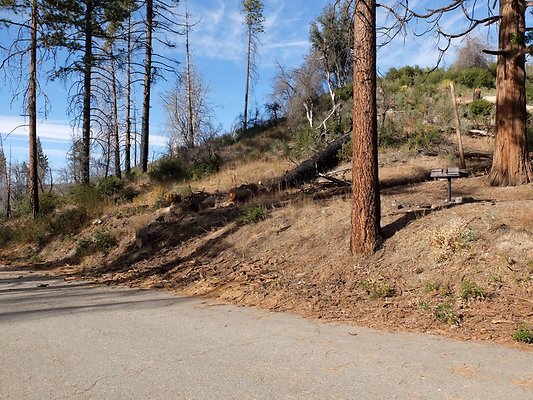 Charlton.Flats.USFS.196