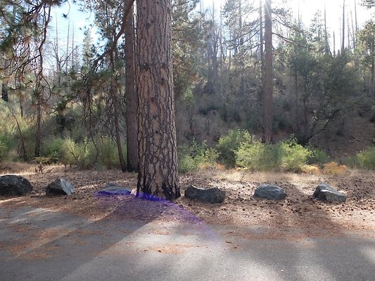 Charlton.Flats.USFS.188