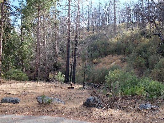 Charlton.Flats.USFS.193