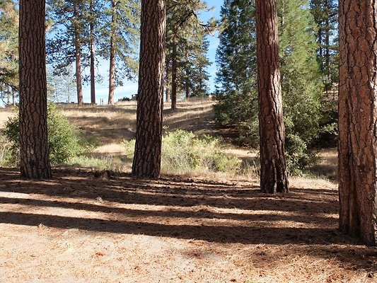 Charlton.Flats.USFS.82