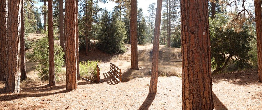 Charlton.Flats.USFS.85