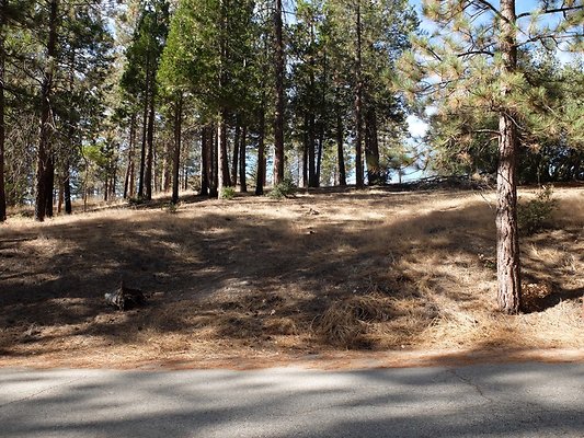 Charlton.Flats.USFS.73