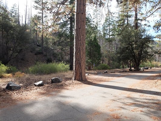 Charlton.Flats.USFS.189