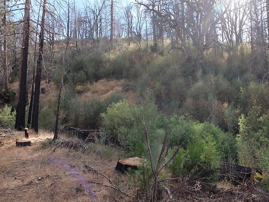 Charlton.Flats.USFS.201