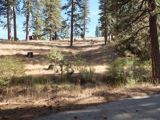 Charlton.Flats.USFS.71