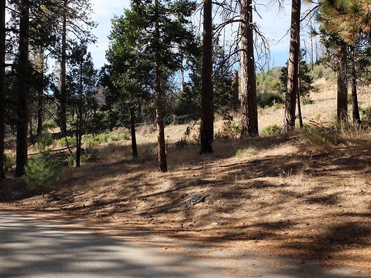 Charlton.Flats.USFS.118