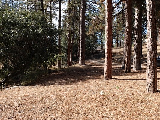 Charlton.Flats.USFS.94