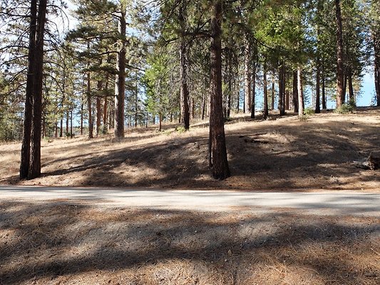 Charlton.Flats.USFS.69