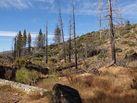 Charlton.Flats.USFS.205