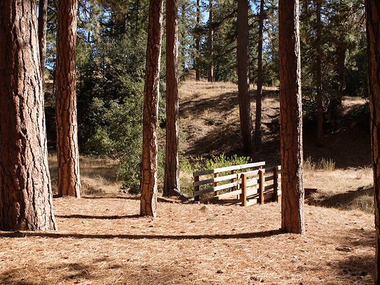 Charlton.Flats.USFS.80