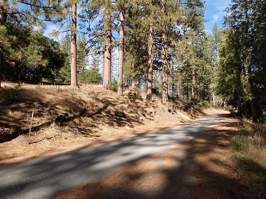 Charlton.Flats.USFS.74