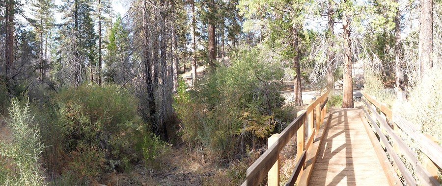 Charlton.Flats.USFS.184