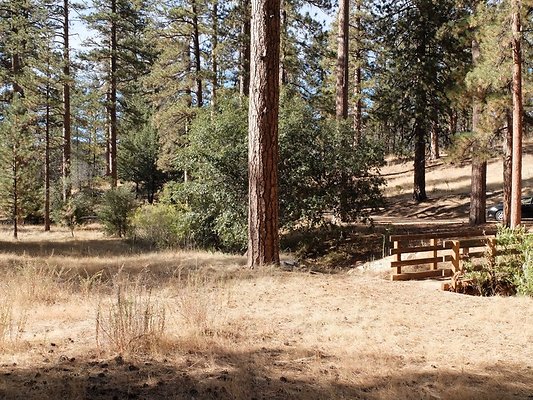 Charlton.Flats.USFS.97