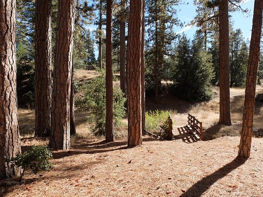 Charlton.Flats.USFS.83