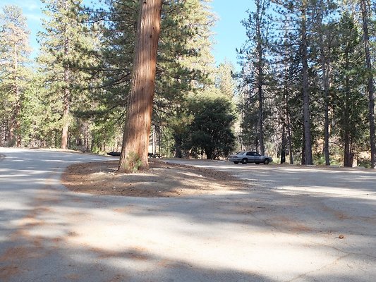 Charlton.Flats.USFS.120