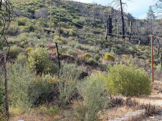 Charlton.Flats.USFS.206