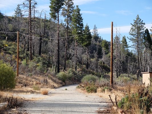 Charlton.Flats.USFS.207