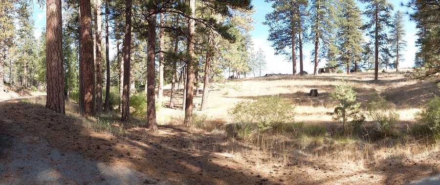 Charlton.Flats.USFS.66