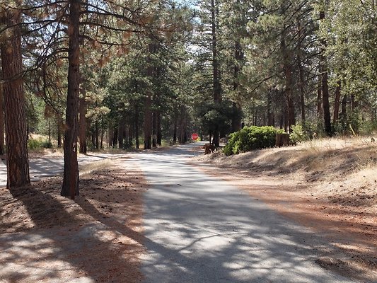 Charlton.Flats.USFS.104