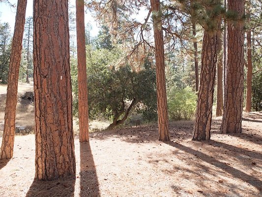 Charlton.Flats.USFS.84