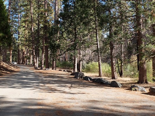 Charlton.Flats.USFS.182