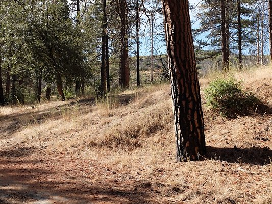 Charlton.Flats.USFS.105