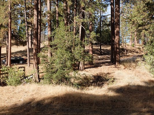 Charlton.Flats.USFS.98