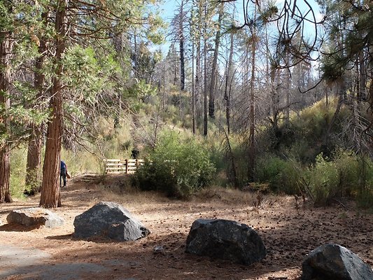 Charlton.Flats.USFS.183