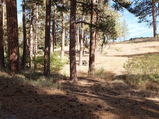 Charlton.Flats.USFS.70