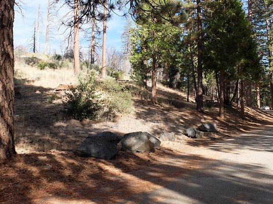 Charlton.Flats.USFS.181